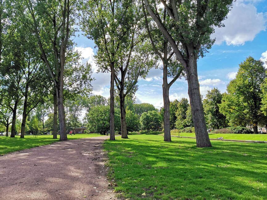 Locatie martin luther kingpark
